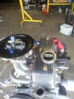 Alconi 3 28-10-23.jpg Alconi 3 28-10-23.jpg